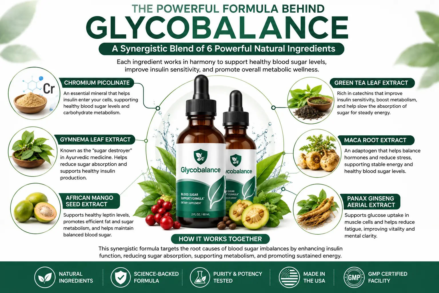 Brand infographic naming the six featured Glycobalance ingredients: chromium picolinate, gymnema leaf extract, African mango seed extract, green tea leaf extract, maca root extract and Panax ginseng aerial extract