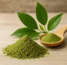 Green Tea Leaf