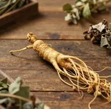 Panax Ginseng