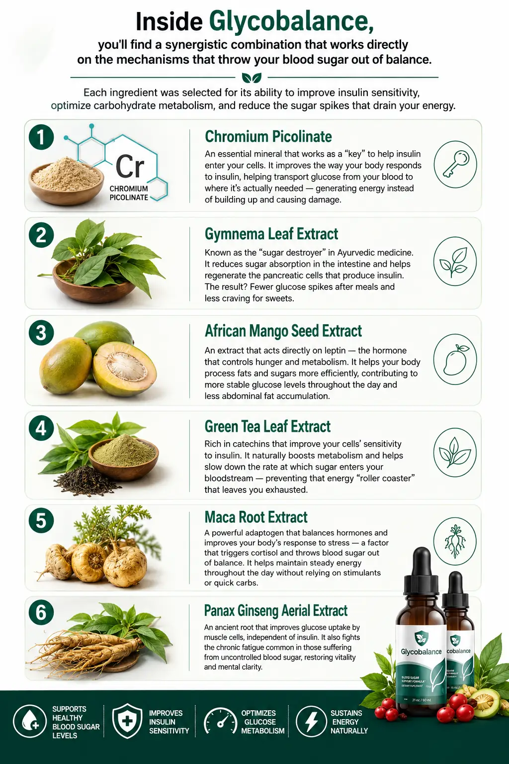 Brand infographic titled Inside Glycobalance, describing chromium picolinate, gymnema leaf extract, African mango seed extract, green tea leaf extract, maca root extract and Panax ginseng aerial extract
