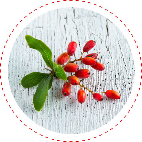 berberine blood sugar